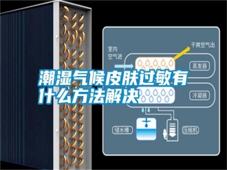 知識百科潮濕氣候皮膚過敏有什么方法解決