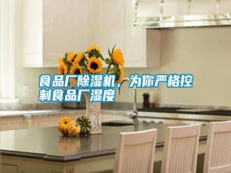 知識百科食品廠除濕機，為你嚴格控制食品廠濕度
