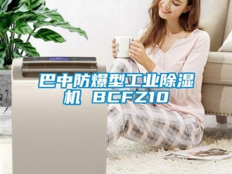 企業(yè)新聞巴中防爆型工業(yè)除濕機(jī) BCFZ10