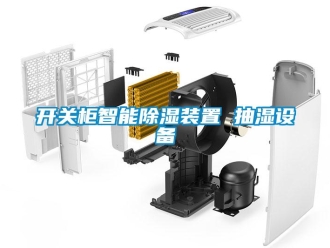 行業(yè)新聞開關柜智能除濕裝置 抽濕設備