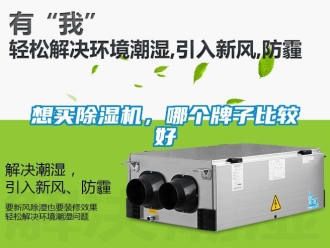 行業(yè)新聞想買除濕機(jī)，哪個牌子比較好