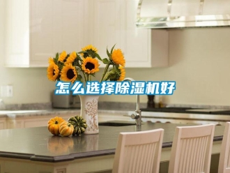 行業(yè)新聞怎么選擇除濕機(jī)好