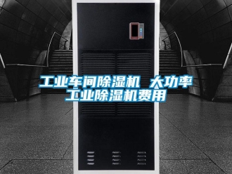 常見問題工業(yè)車間除濕機 大功率工業(yè)除濕機費用
