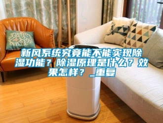 行業(yè)新聞新風(fēng)系統(tǒng)究竟能不能實(shí)現(xiàn)除濕功能？除濕原理是什么？效果怎樣？_重復(fù)