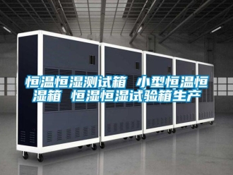 知識百科恒溫恒濕測試箱 小型恒溫恒濕箱 恒濕恒濕試驗箱生產(chǎn)