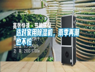 常見問題選對家用除濕機，雨季再潮也不怕