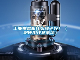 企業(yè)新聞工業(yè)抽濕機什么牌子好？（附使用注意事項）