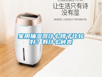 企業(yè)新聞家用抽濕器什么牌子比較好？有什么種類