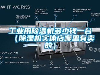 常見(jiàn)問(wèn)題工業(yè)用除濕機(jī)多少錢一臺(tái)（除濕機(jī)實(shí)體店哪里有賣的）