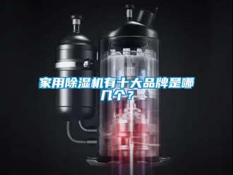 企業(yè)新聞家用除濕機(jī)有十大品牌是哪幾個(gè)？