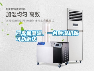 知識(shí)百科四季都潮濕，一臺(tái)除濕機(jī)就可以解決