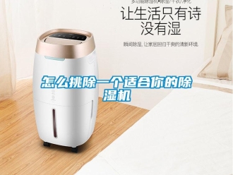行業(yè)新聞怎么挑除一個(gè)適合你的除濕機(jī)