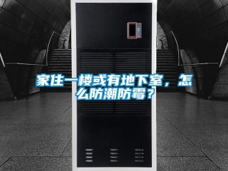 企業(yè)新聞家住一樓或有地下室，怎么防潮防霉？