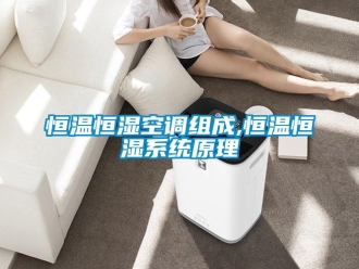知識(shí)百科恒溫恒濕空調(diào)組成,恒溫恒濕系統(tǒng)原理