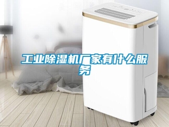 企業(yè)新聞工業(yè)除濕機廠家有什么服務(wù)
