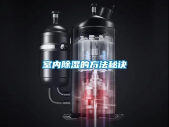 企業(yè)新聞室內(nèi)除濕的方法秘訣