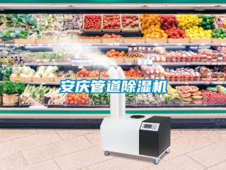 企業(yè)新聞安慶管道除濕機
