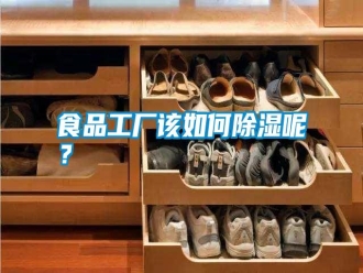 知識(shí)百科食品工廠該如何除濕呢？