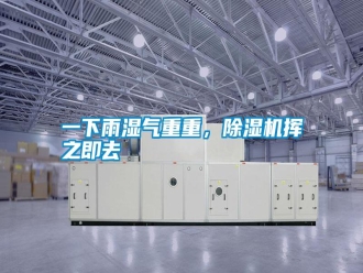 常見問題一下雨濕氣重重，除濕機(jī)揮之即去