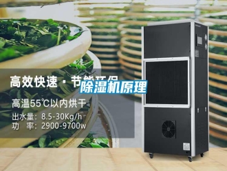 常見(jiàn)問(wèn)題除濕機(jī)原理