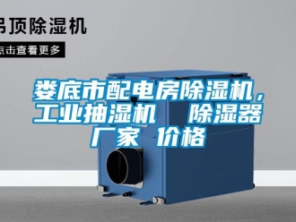 企業(yè)新聞婁底市配電房除濕機，工業(yè)抽濕機  除濕器廠家 價格