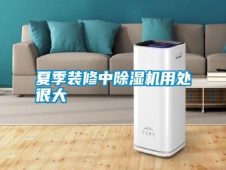 常見問題夏季裝修中除濕機用處很大