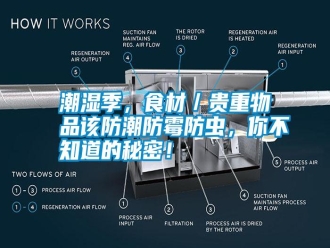 知識百科潮濕季，食材／貴重物品該防潮防霉防蟲，你不知道的秘密！