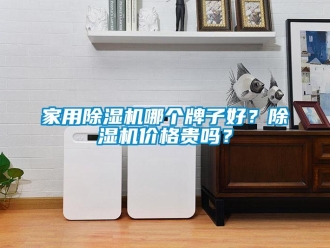 企業(yè)新聞家用除濕機(jī)哪個(gè)牌子好？除濕機(jī)價(jià)格貴嗎？