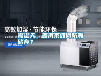 知識百科潮濕天，普洱茶如何防潮儲存？