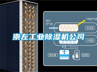 常見問題崇左工業(yè)除濕機(jī)公司