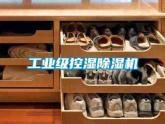 常見問題工業(yè)級控濕除濕機(jī)