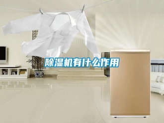 常見(jiàn)問(wèn)題除濕機(jī)有什么作用