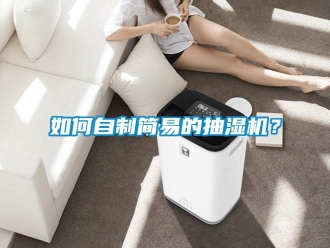企業(yè)新聞如何自制簡易的抽濕機(jī)？