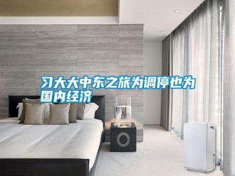 知識(shí)百科習(xí)大大中東之旅為調(diào)停也為國(guó)內(nèi)經(jīng)濟(jì)