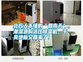 知識百科北方人不懂的“回南天”，潮濕急購活仕除濕機，干爽地板又回來了！