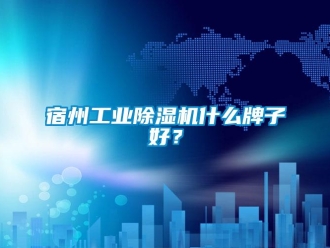 常見問題宿州工業(yè)除濕機(jī)什么牌子好？