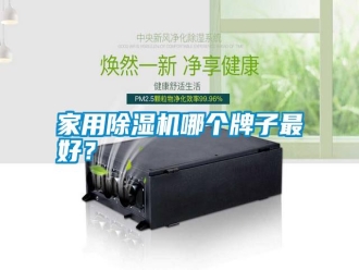 知識(shí)百科家用除濕機(jī)哪個(gè)牌子最好？