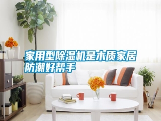 知識百科家用型除濕機是木質(zhì)家居防潮好幫手