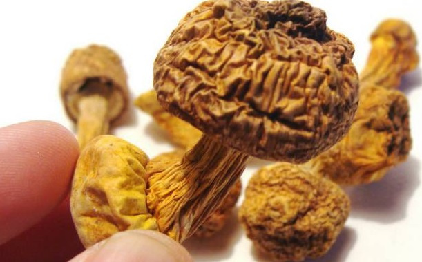 巴西菇、姬松茸烘干機(jī)-怎樣烘干色澤好且菇體褶片完整？