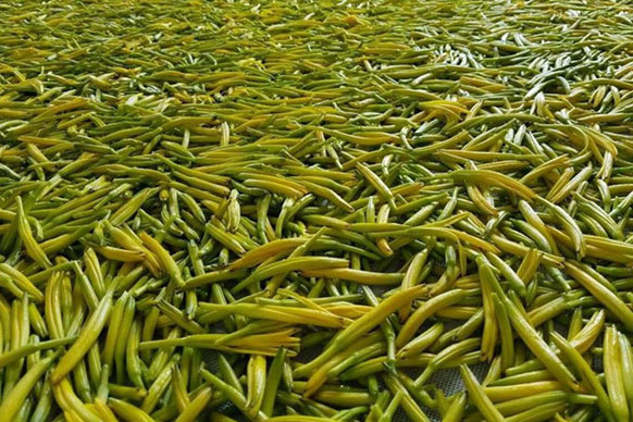 無硫金針菜烘干如何保持品相？不發(fā)黑？_除濕機廠家