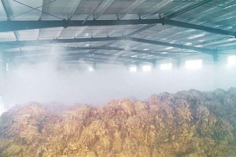 提升煙葉加工質(zhì)量，高效回潮很重要 煙葉除濕機(jī)